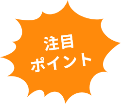 注目ポイント